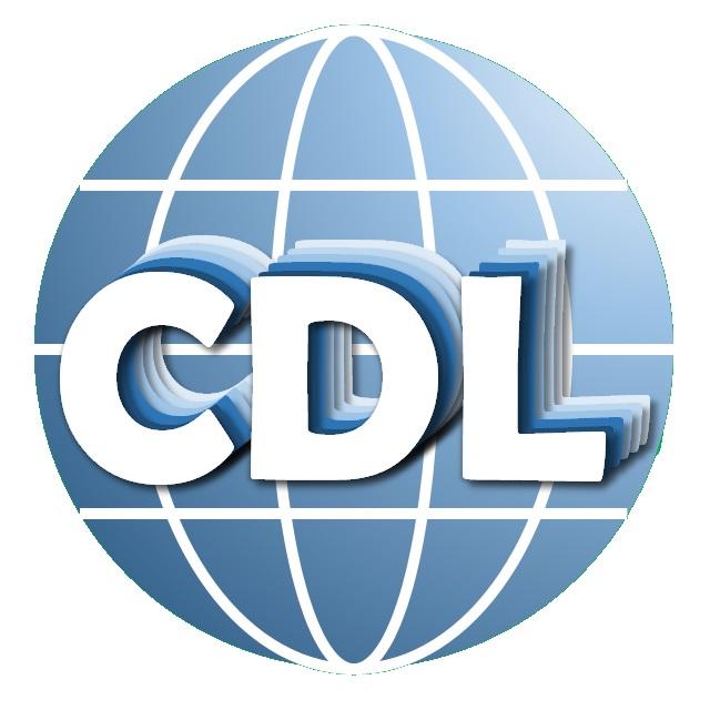 China Data Lab
